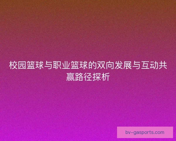 校园篮球与职业篮球的双向发展与互动共赢路径探析